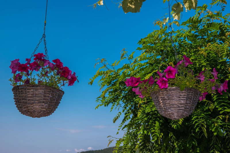 916 Mountain Resort, Xanthi, Greece