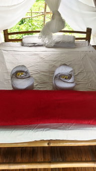 Harmony Healing Resort, El Nido, Philippines