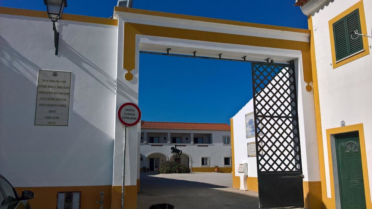 Lusitanus, Portugal