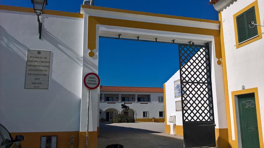 Lusitanus, Golegã, Portugal