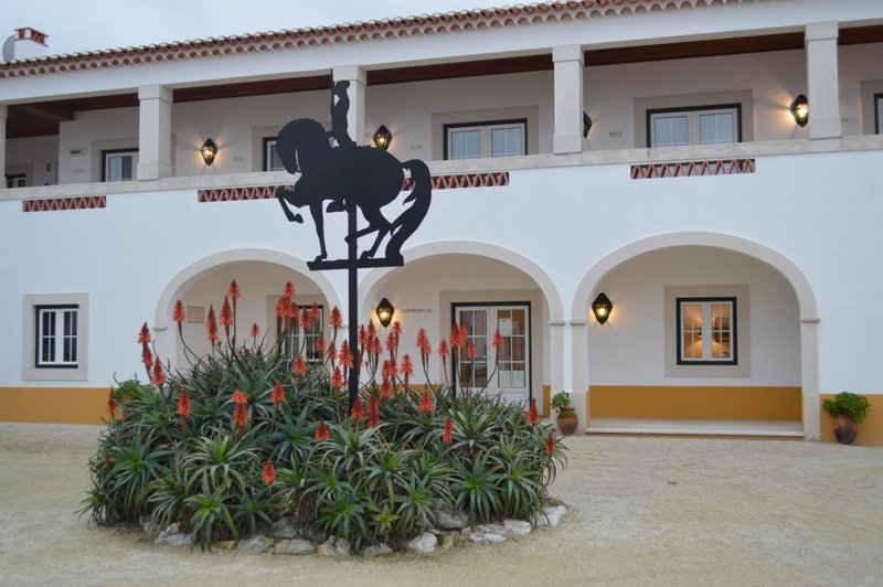 Lusitanus, Golegã, Portugal