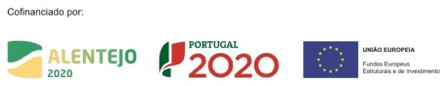 Hostel O Torneiro, Pernes, Portugal