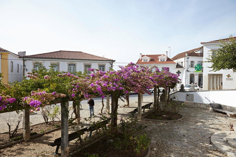 Quinta Do Sobral, Figueiró dos Vinhos, Portugal