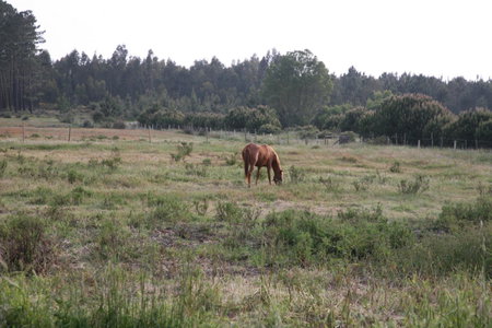 Monte da Fome Aguda, Odeceixe, Portugal