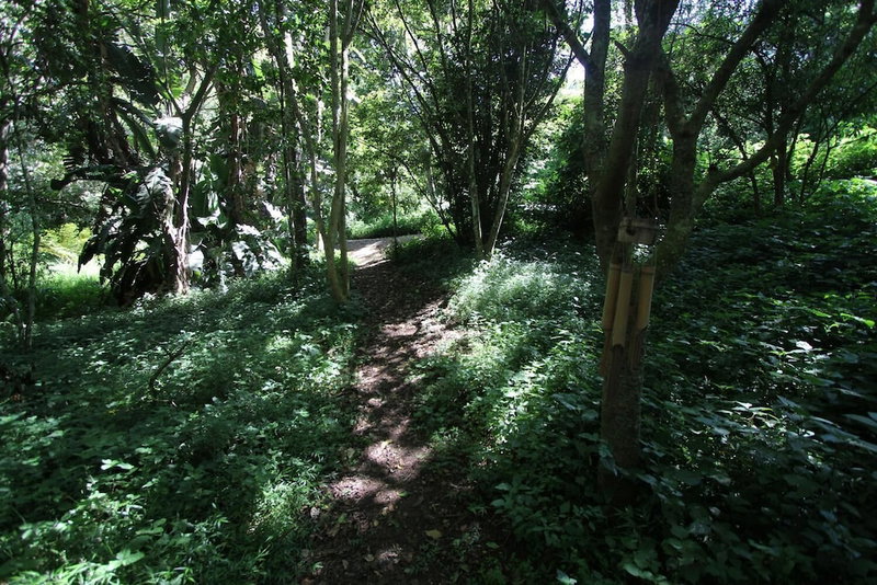 Cybele Lodge, Kloof, South Africa