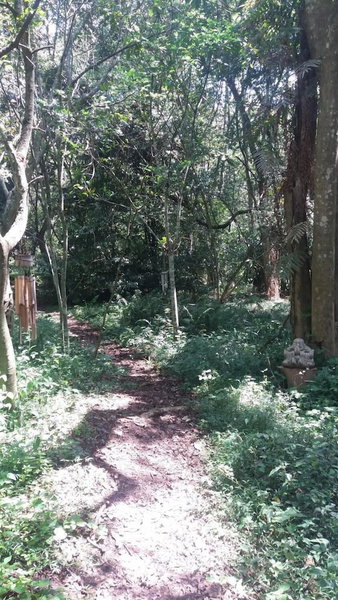 Cybele Lodge, Kloof, South Africa