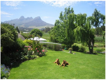 Acara Guest Cottages, Stellenbosch, South Africa