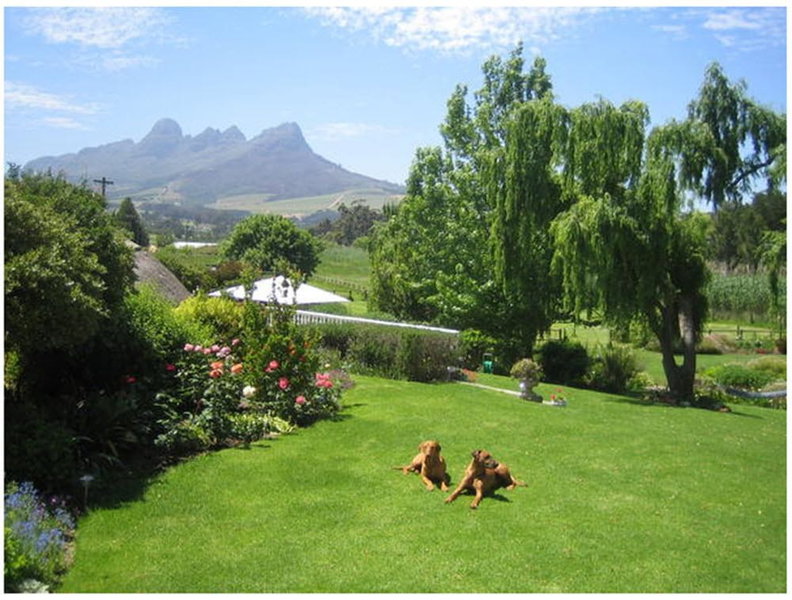 Acara Guest Cottages, Stellenbosch, South Africa