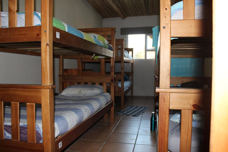 The Wild Farm Backpackers, Wilderness, South Africa