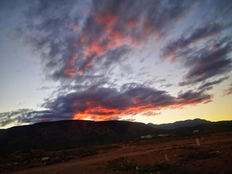 Karoo Nest - Calitzdorp, Calitzdorp, South Africa