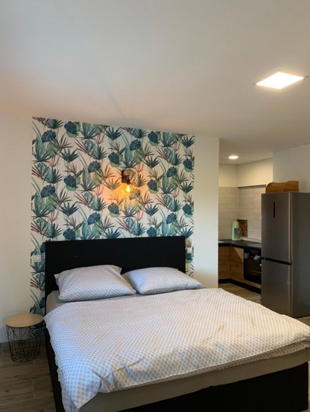 Apartmány Županovice, Dobříš, Czechia