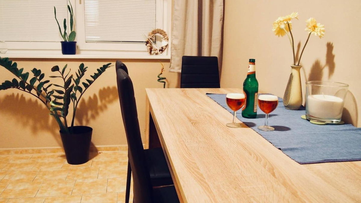 Cozy apartment at river Labe near center and train, Czechia