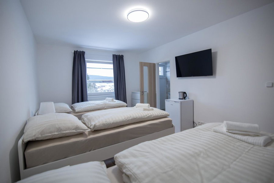 apartment Dana, Hošťka, Czechia