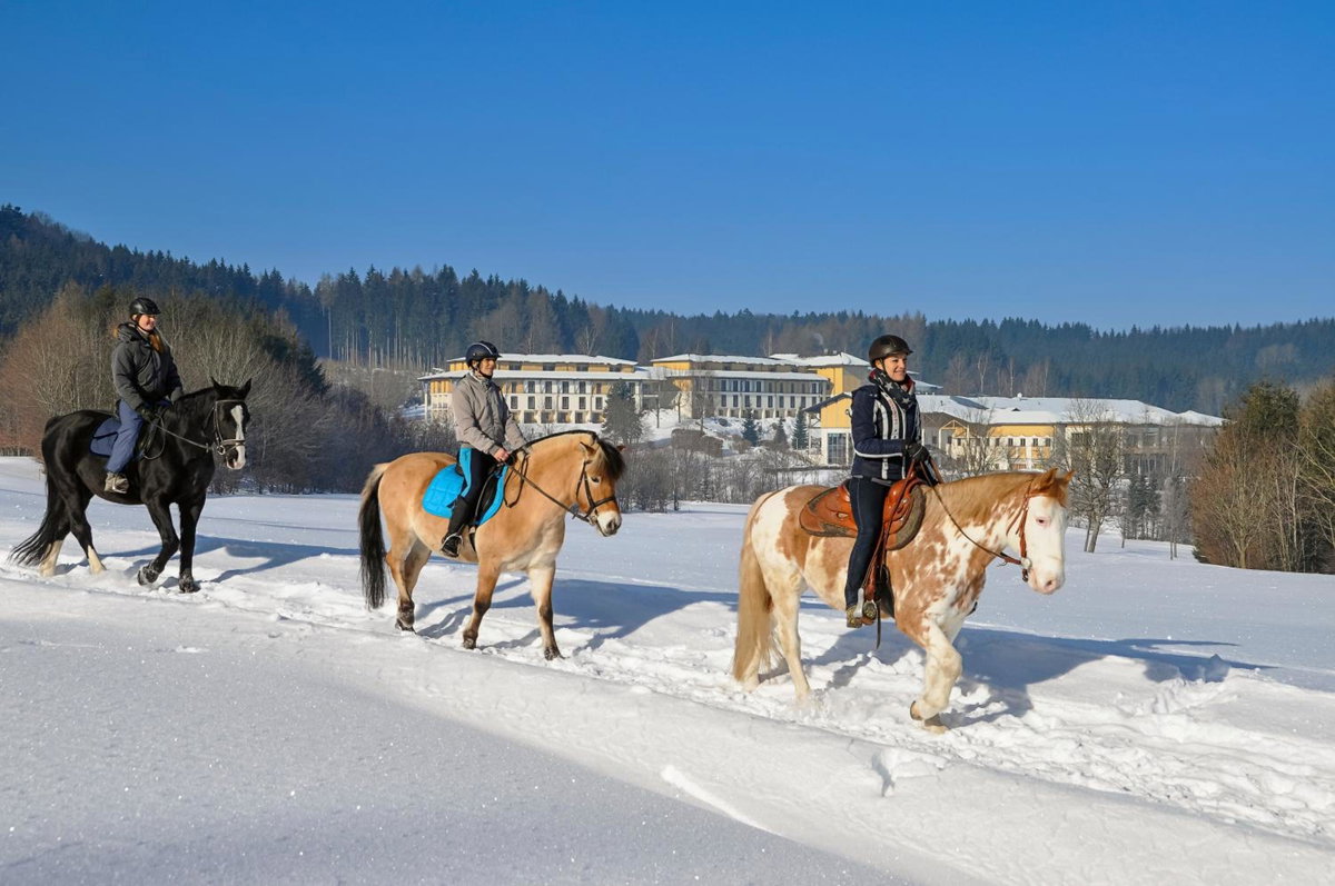 Hotel · Aldiana Club Ampflwang, Ampflwang Im Hausruckwald