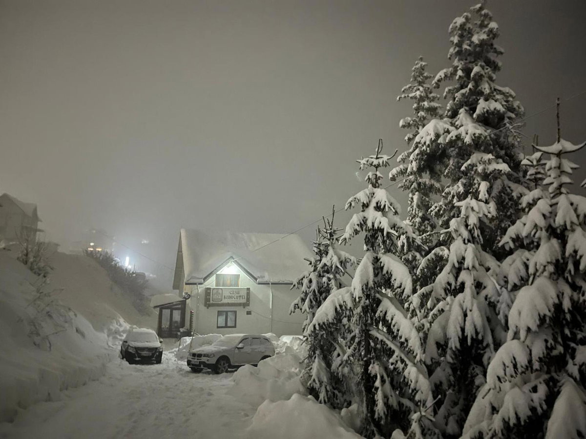 Casa Bunicutei, Romania
