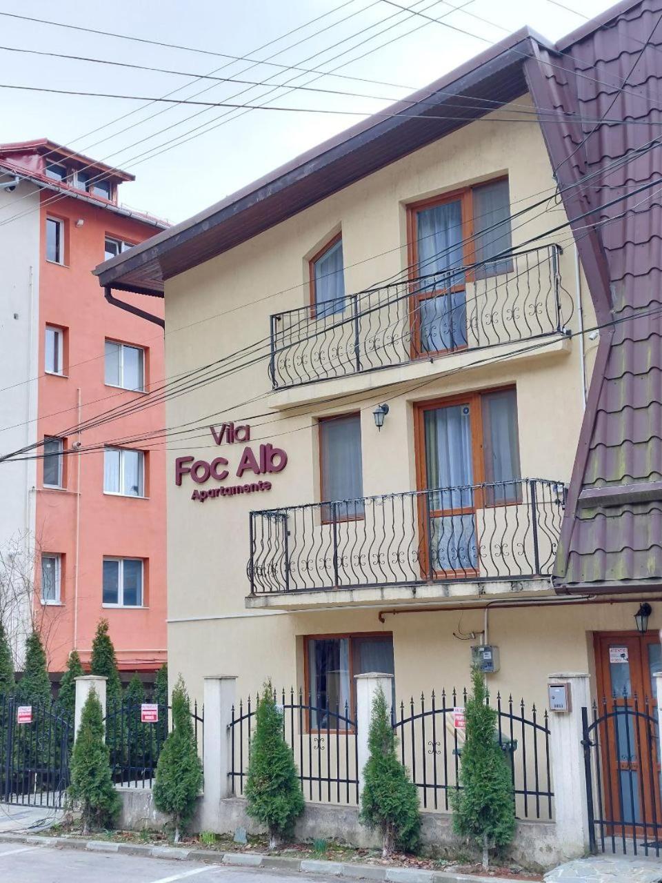 Vila Foc Alb Apartamente-Busteni, Romania