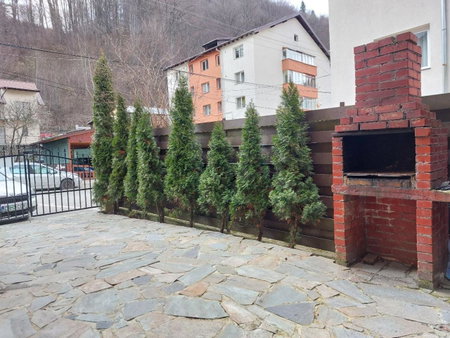 Vila Foc Alb Apartamente-Busteni, Buşteni, Romania