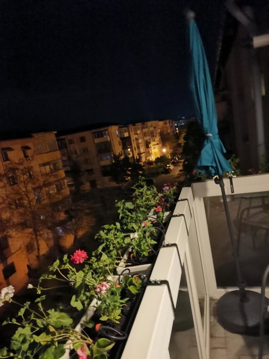 Bloom Box Apartments, Craiova, Romania
