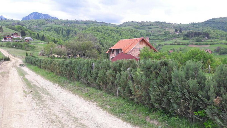 Casa Flavia, Poiana Mărului, Romania