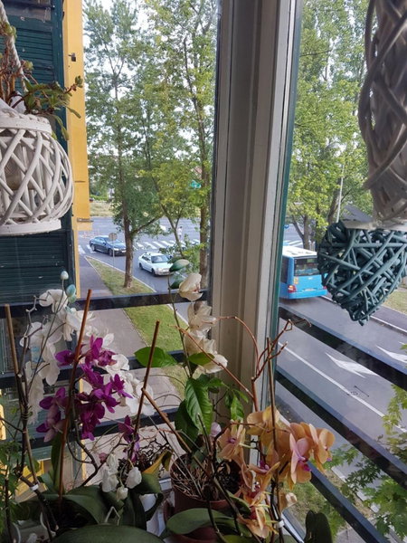 Studio apartman Zagreb zapad Vrapče, Zagreb, Croatia