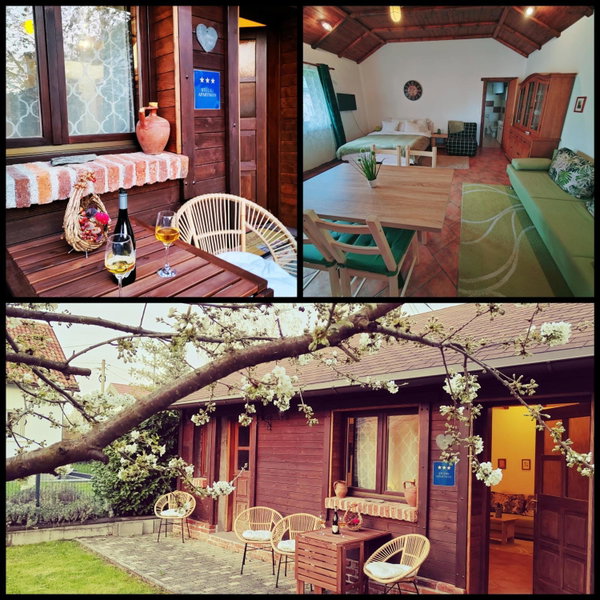 Studio apartman Buteo, Jastrebarsko, Croatia