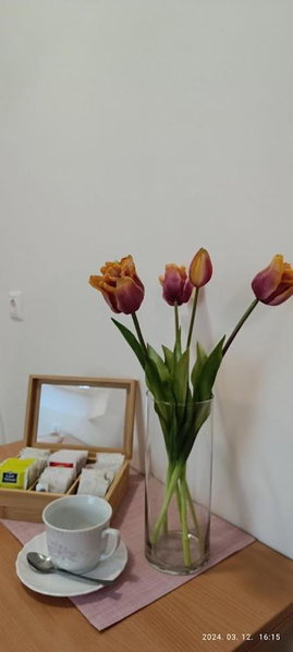 Borisz Apartman Zalakaros, Zalakaros, Hungary