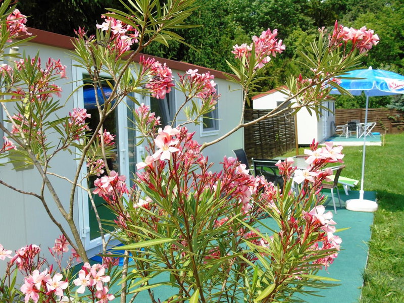 Aranykert Apartmanok Vének, Vének, Hungary