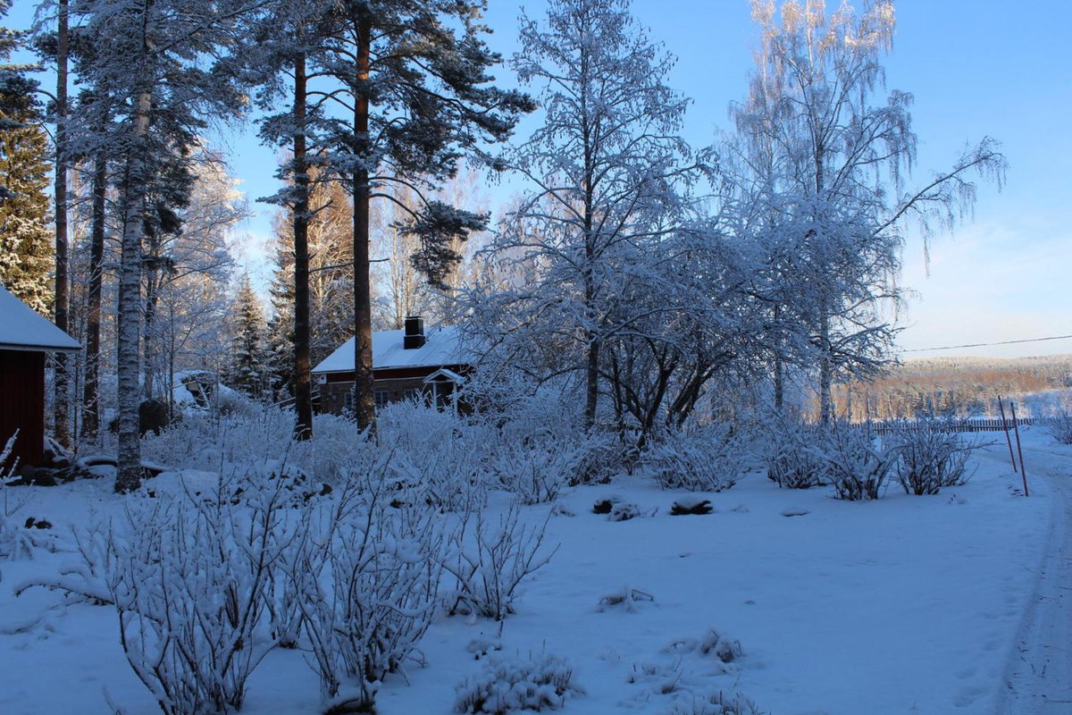 Hotel · Nukula Guestrooms, Oravasaari
