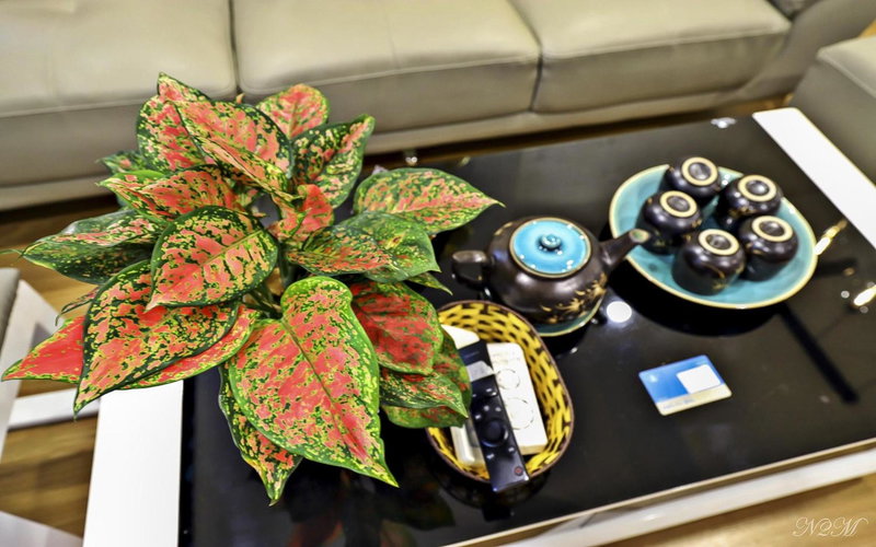 Vinhomes Time City and Parkhill Premium Apartment, Hanoi, Vietnam