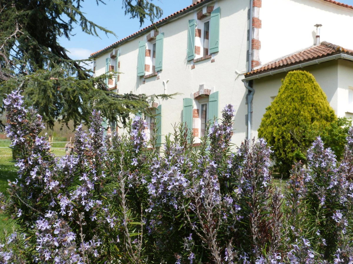 Hotel · Chambres d'hôtes Le Cartounier, Pinel-Hauterive