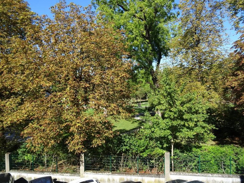Face Au Jardin, Cognac, France