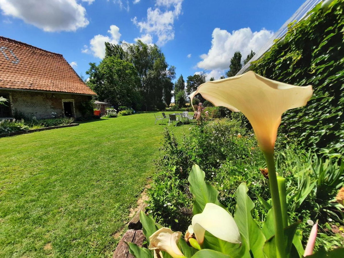 Hotel · La Flandre entre plaine, mer et marais, Rubrouck