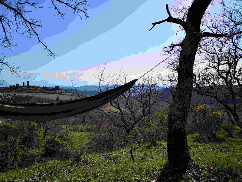 Terres de Barréjat, Cazals-des-Baylès, France