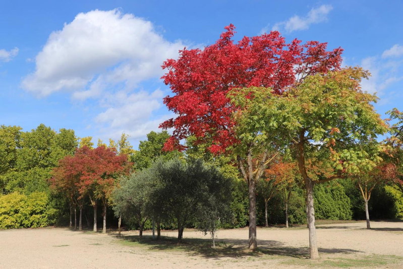 La Bastide des Pins, Castillon-du-Gard, France