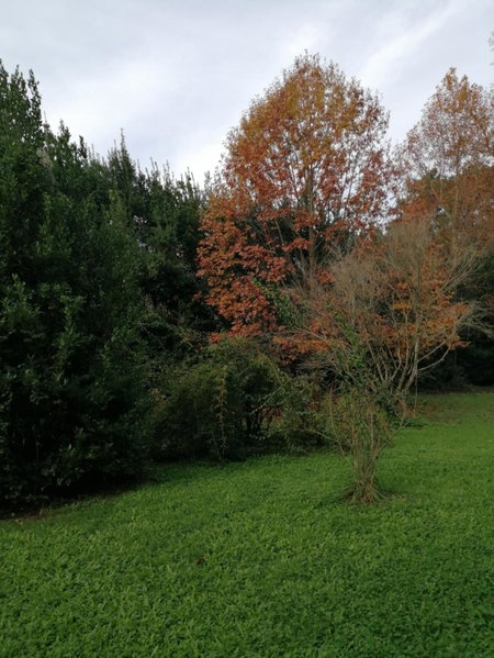 Villa La Dogana - B&B with a lovely garden - Private parking - Slow living in an old-fashioned historical home, Lucca, Italy