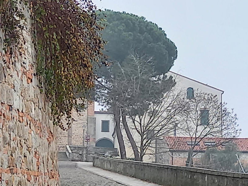 Affittacamere Due Mori, Monselice, Italy