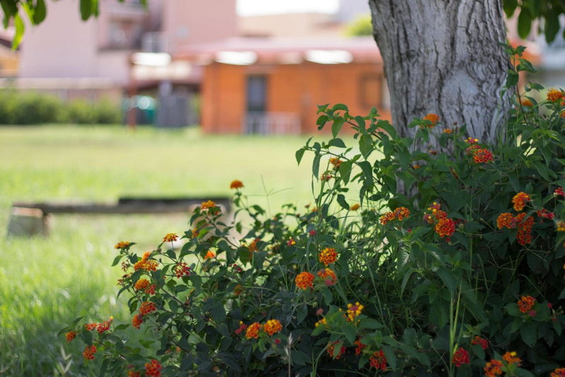 Agriturismo Il Gelsomino Ritrovato, Milazzo, Italy