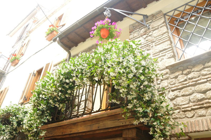 Atlantis Inn Castelgandolfo, Castel Gandolfo, Italy