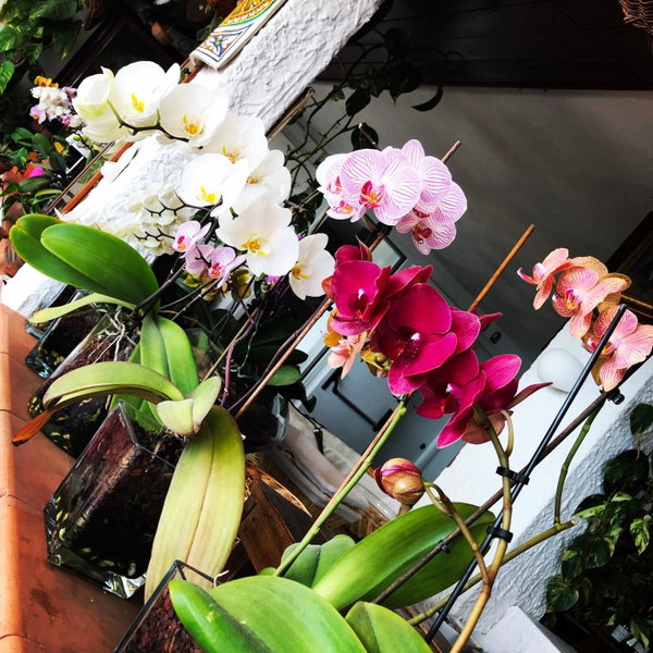 Villa Greta Hotel Rooms & Suites, Taormina, Italy