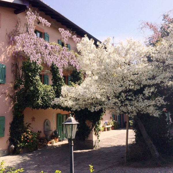 Casa Violetta B&B, Agrate Conturbia, Italy
