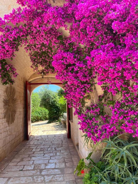 Masseria Morrone, Ostuni, Italy