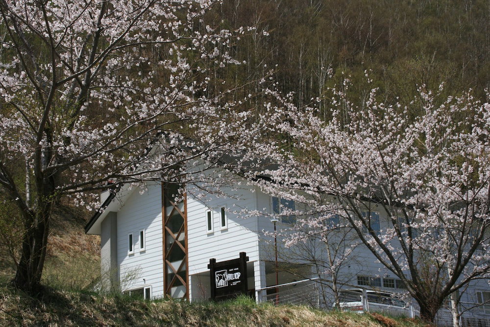 Guesthouse Hilltop, Japan