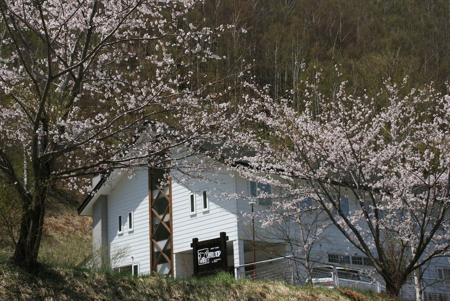 Guesthouse Hilltop, Kiso, Japan