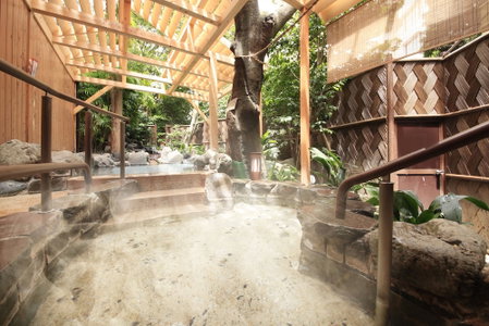Hotel Dankoen, Ito, Japan