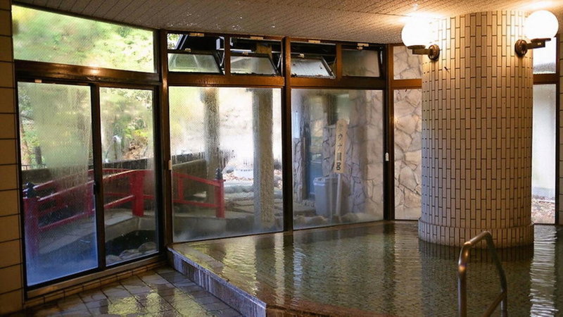 Hotel Manyotei, Nikko, Japan