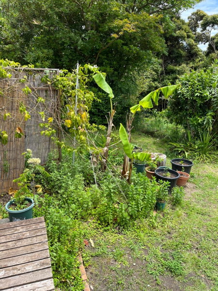 Guesthouse Papaya, Shimoda, Japan