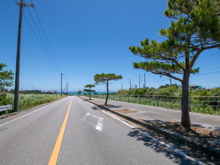 Dolcevita, Ginoza, Japan