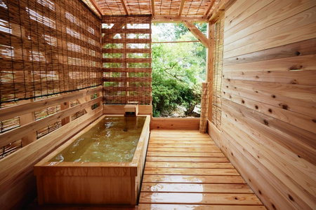 Takamiya Ryokan Sagiya Sansorai, Kaminoyama, Japan