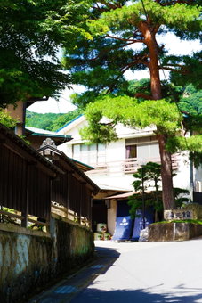 Ryokan Fukumotokan, Atsugi, Japan
