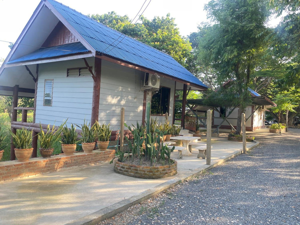 Rain Tree Cafe & Homestay, Thailand